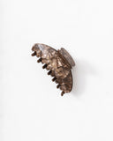 Claw Clip - Smoked Chocolate